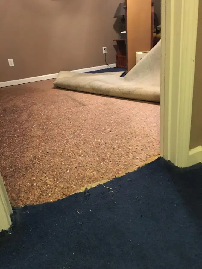 Carpet pad removal revealing water damage during Water Mitigation Services in Greeley