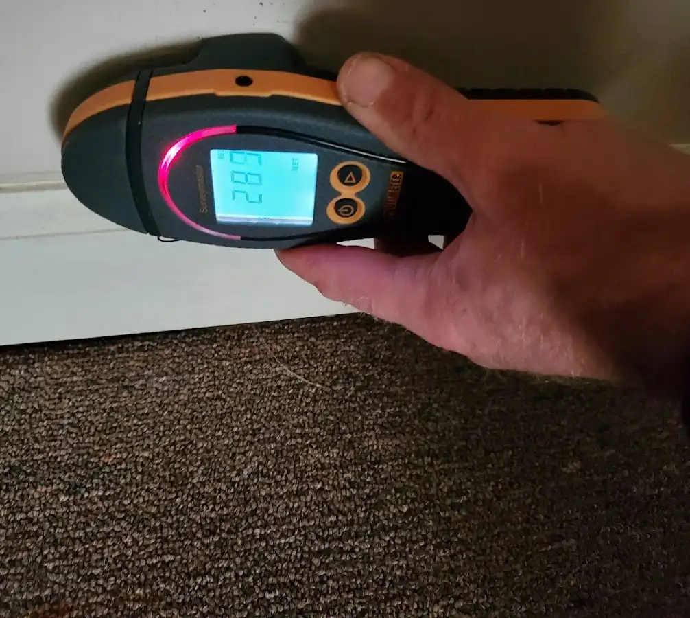 Moisture detection at baseboard during Mold Inspection & Testing in Greeley